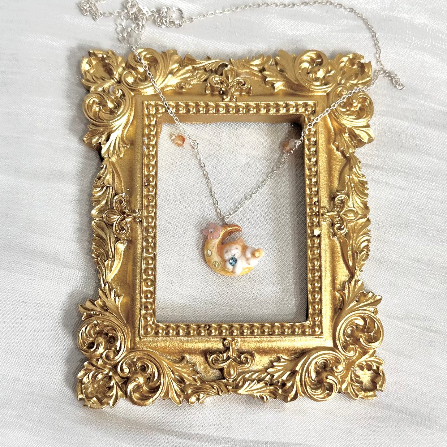 住在月光亮的貓