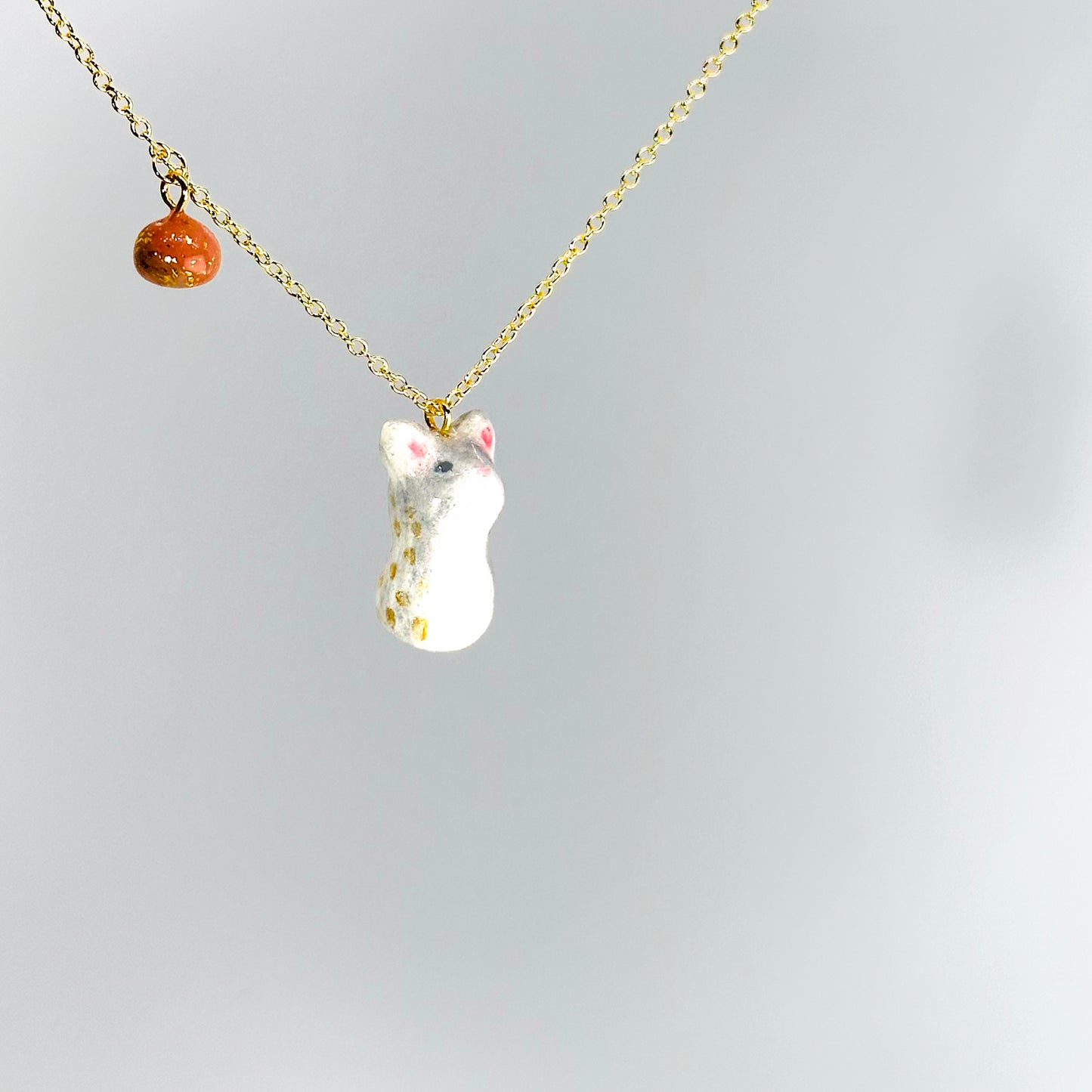 仰望天空的小貓