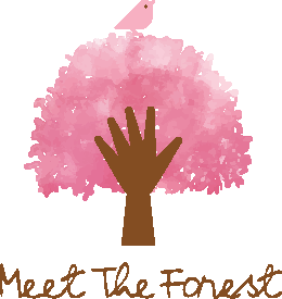 Meet the forest 遇見森林